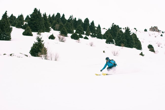 1-day Backcountry Tour - What the $156.49 price means