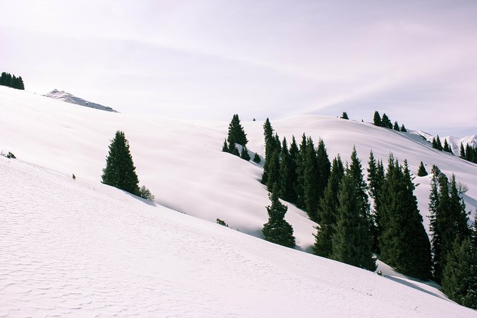 1-day Backcountry Tour - What the morning may feel like