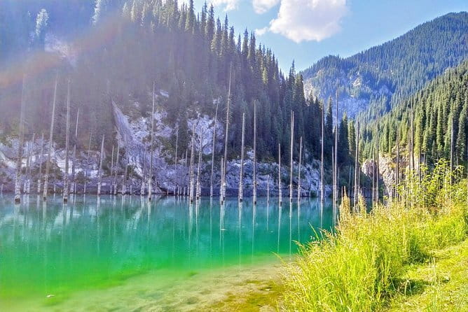1 Day Private Tour to Charyn Canyon, Kolsay and Kaiyndy - Kaiyndy Lake and its sunken forest