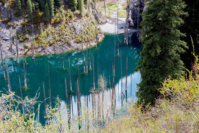 2-Day Private Tour - The Kolsai Lake & Kaindy (Sunken forest) via Charyn canyon - Kaindy Lake explains the route’s most unusual sight