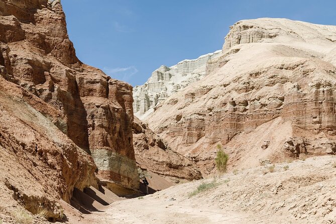 3 Days Tour: Altyn Emel NP, Charyn Canyon, Kaindy & Kolsay Lakes - Day two: Charyn Canyon and the high setting of Kaindy Lake