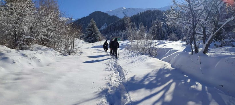 Almaty: Hiking to the High Mountain Pasture Kok Zhailau - What $144 buys you