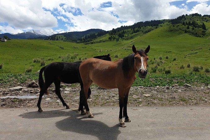 Almaty Region 3 Days Tour from Almaty - The guide can make or break the long drives