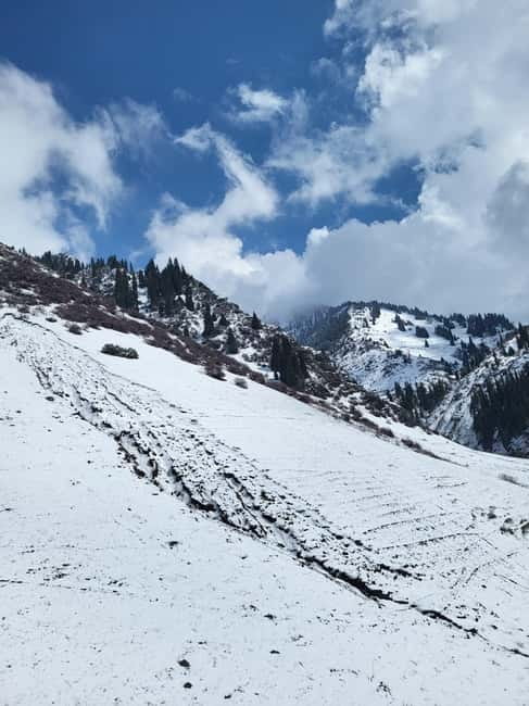 Almaty: Shymbulak, Medeu, Kok Tobe by cable cars and tickets - Who should book this Almaty tour?