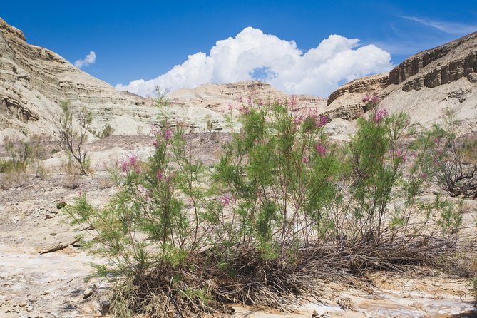 Altyn Emel. Singing dune and Aktau mountains 2 days tour - Sleeping in the Park: Tent or Guest House