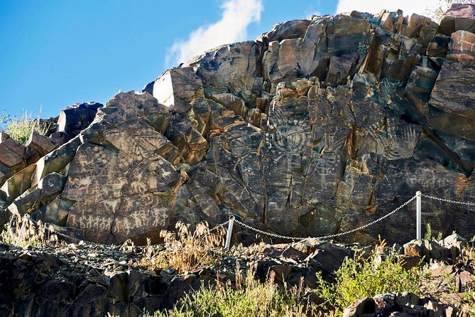 Ancient petroglyphs of Tanbaly - UNESCO World Heritage - Reading the petroglyphs with Nursultan