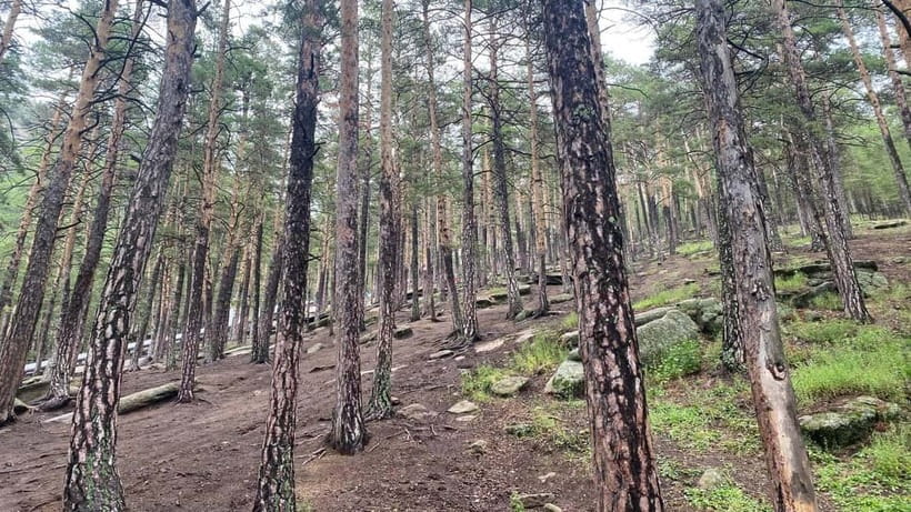 Astana: Burabay Oasis National Park Adventure - Horse riding in the pine forest