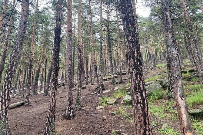 Astana: Burabay Oasis National Park Unforgettable Adventure - The climb to BolekTau Mountain