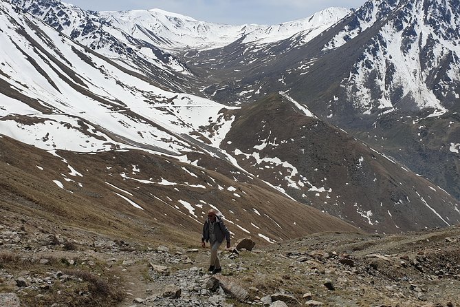 Big Almaty Lake and City Private Tour - What the 8:00 a.m. start means
