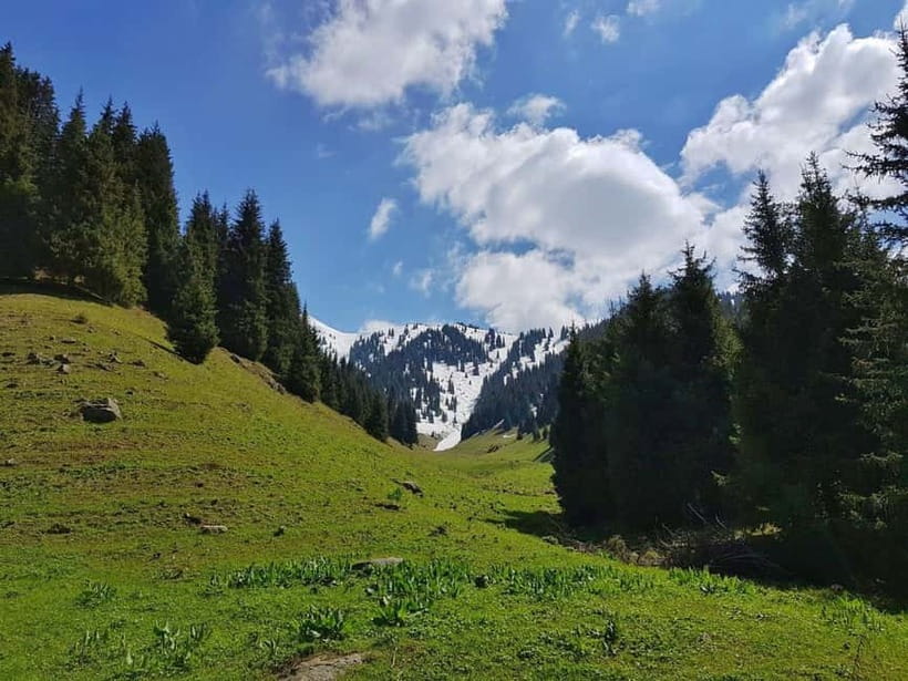 "Butakovka Waterfall" - a half day tour - Key points to know before you go