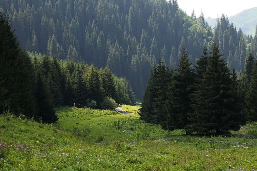 "Butakovka Waterfall" - a half day tour - Walking the forest trail