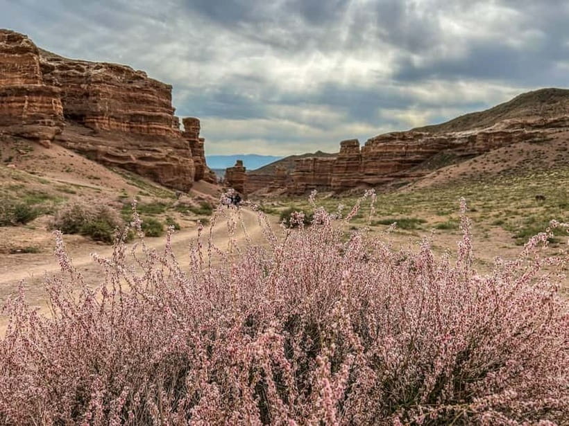 From Almaty: Charyn Canyon Full-Day Trip with Boxed Lunch - Walking into the Valley of Castles