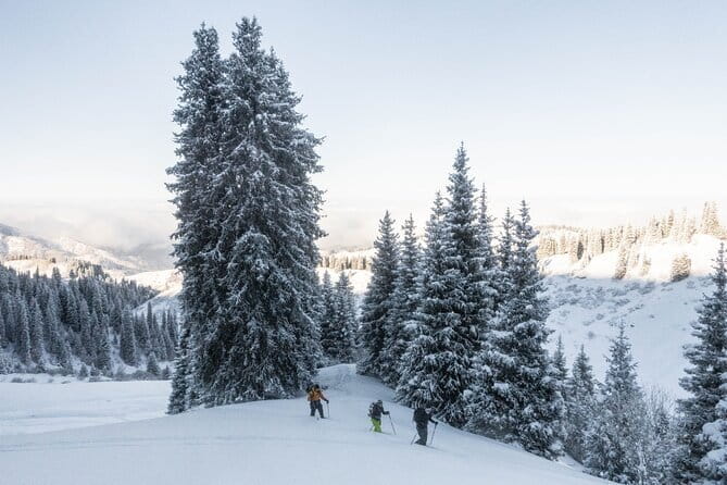 One Day Ski Tour Near Almaty - What the $277 price buys you
