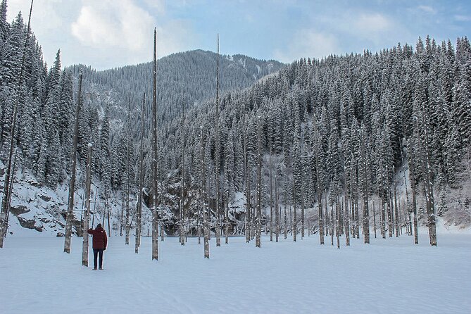 Private DayTour - Pearl Lakes Kolsai & Kaindy (Flooded Forest) via Charyn Canyon - Lunch, drinks, and the real value of $320