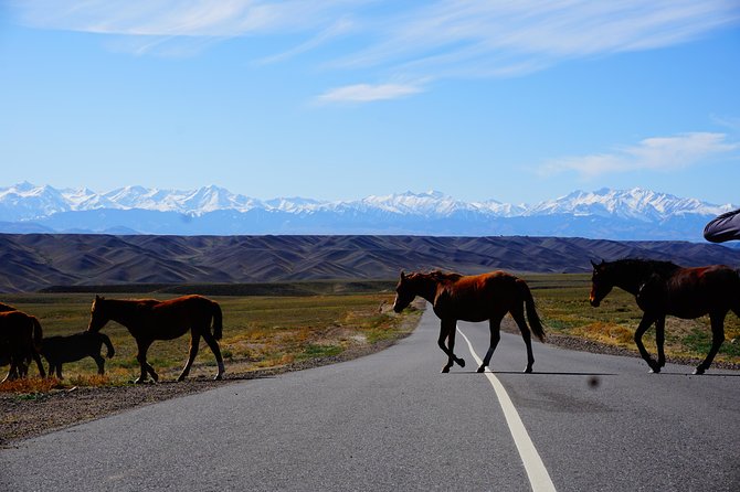 Private tour Almaty Region 3 days with Silktravel - Why this route works for first-time visitors to Almaty