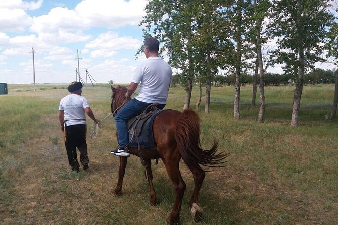 Trip to Kazakh family of Eagle hunters in Astana (6 hours) - Dombra music and a lesson in Kazakh archery